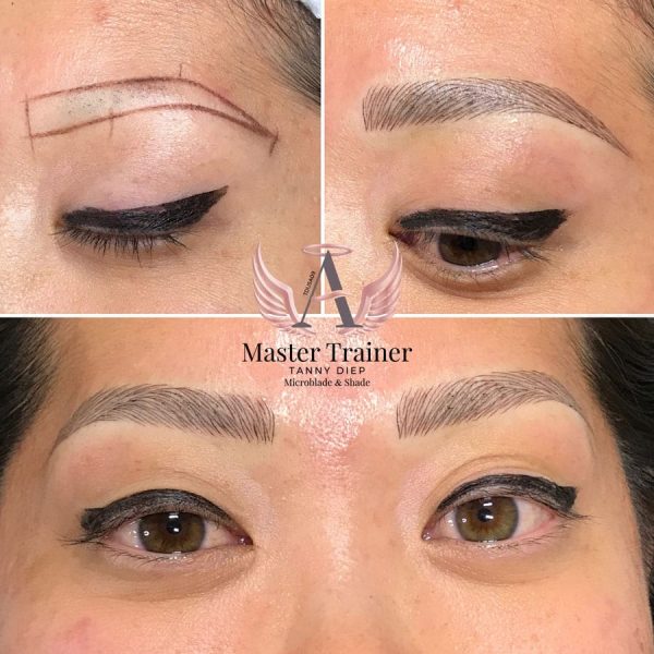 1177A1B1-4DAF-4DA4-B7AC-B2E1D563751E