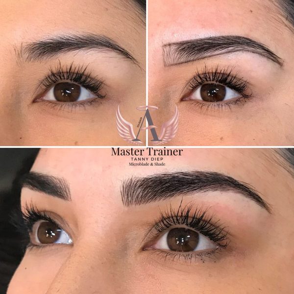 4087A89E-35F0-4392-B1B1-335DFC714036